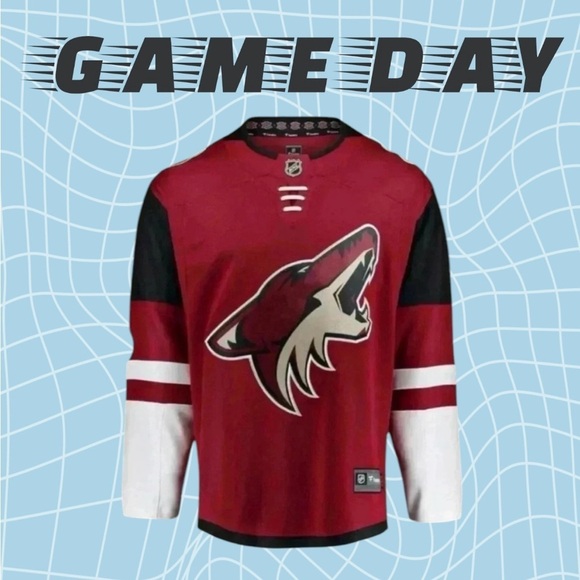 🆕Youth  | Arizona Coyotes NHL Breakaway Jersey - Picture 1 of 15